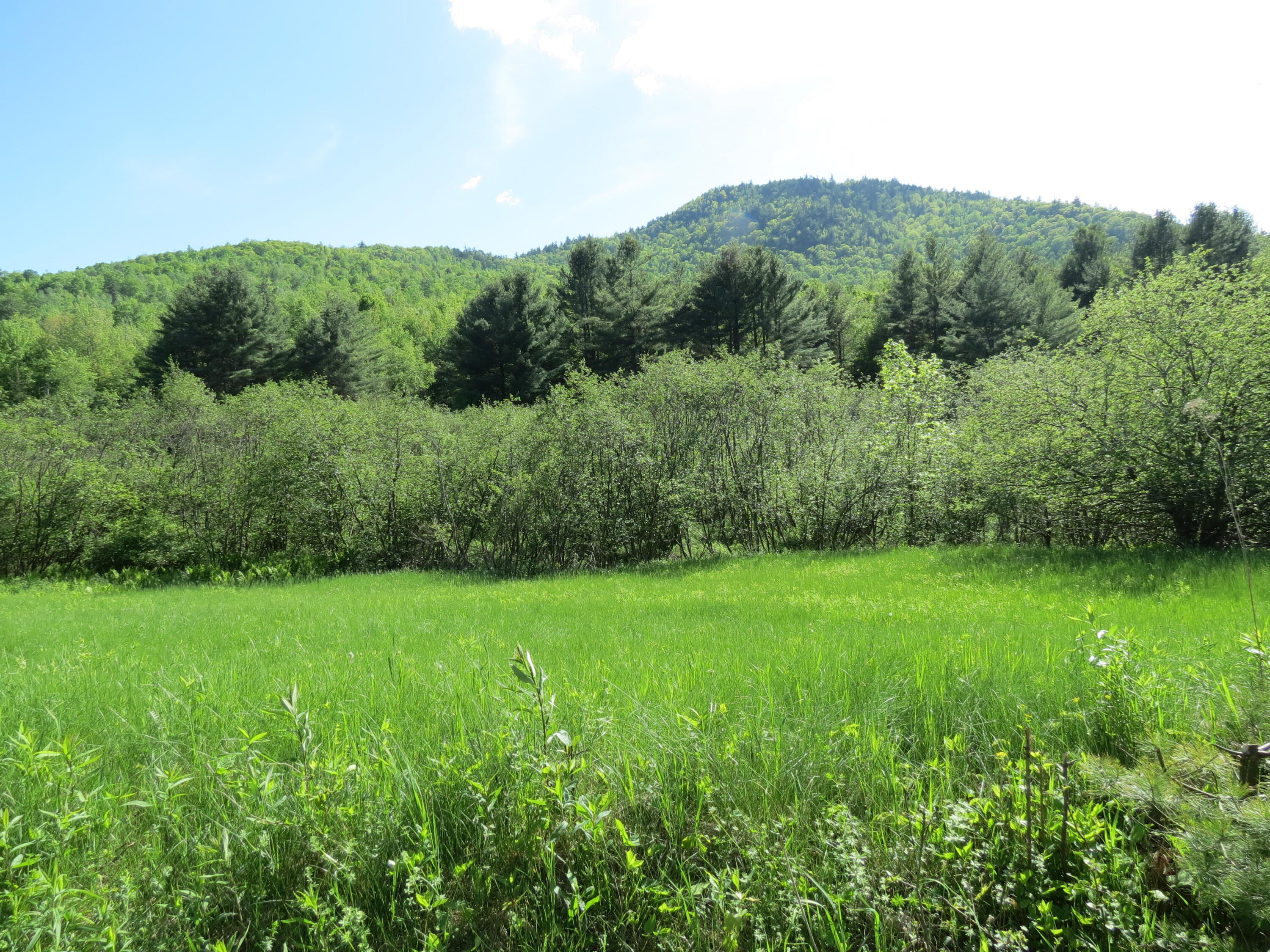 0 Trumbulls Road Upper Jay, NY 12987 - Photo 9 of 22