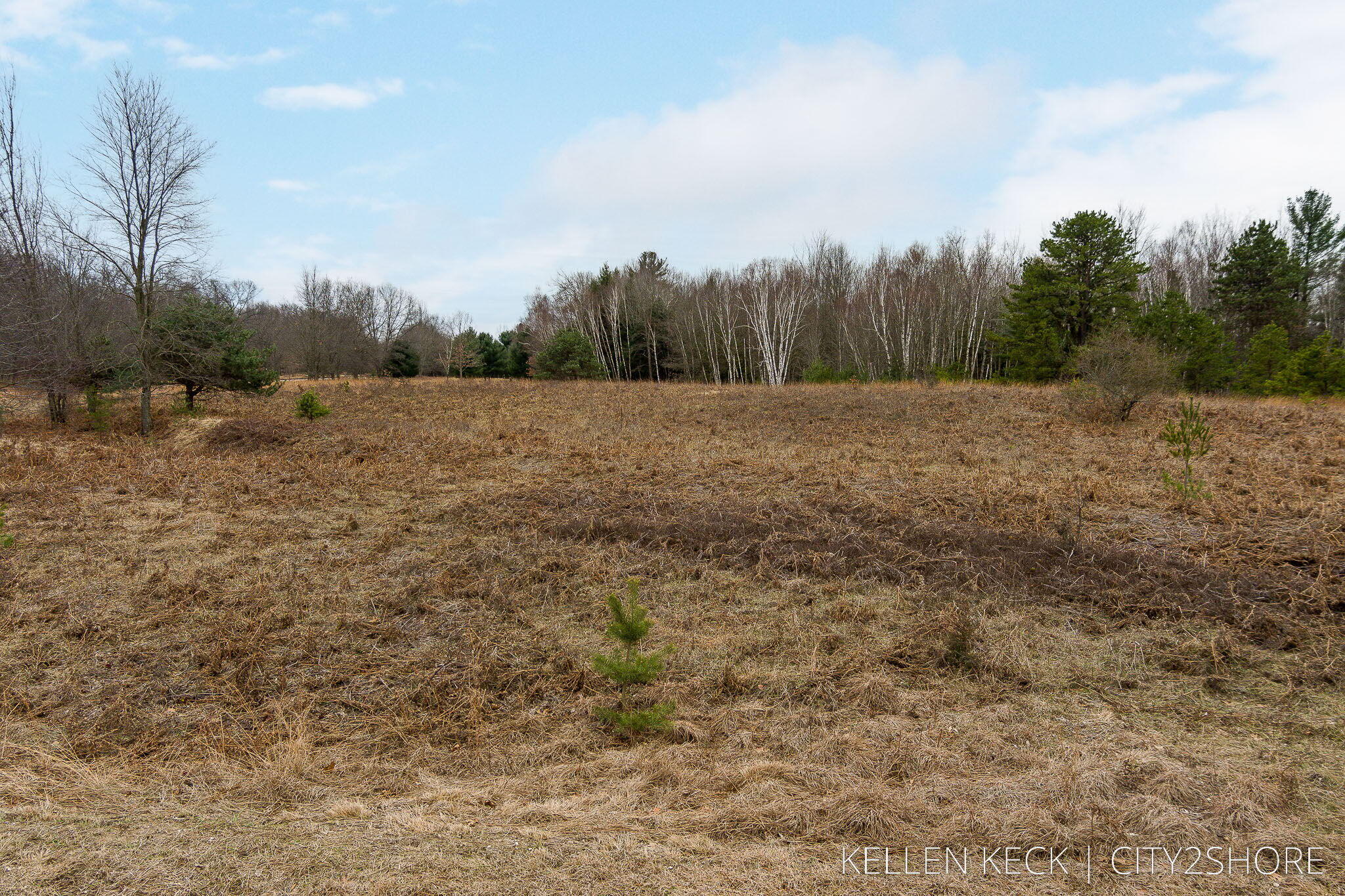 2827 East Freeman Road Free Soil, MI 49411 - Photo 14 of 16 13-web-or-mls-2827 E Freeman Rd Free Soi
