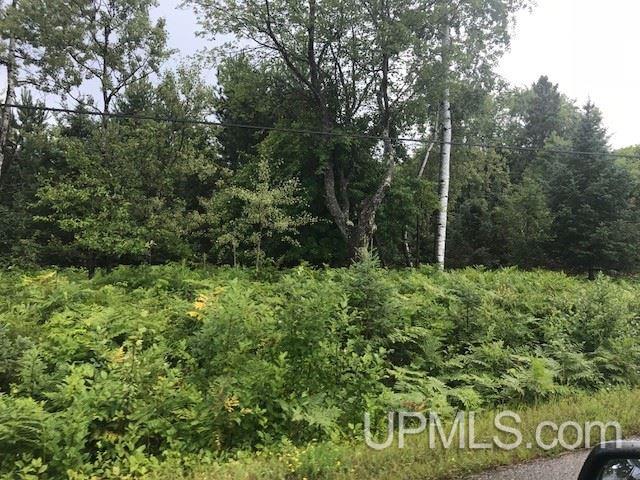 1810 Iron Lake Road Iron River, MI 49935 - Photo 28 of 32