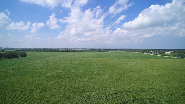 9N150 Dittman Road Campton Hills, IL 60124 - Photo 25 of 25