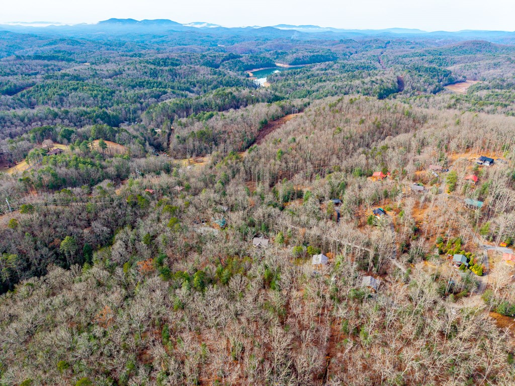482 Tsalagi Trail Murphy, NC 28906 - Photo 36 of 44 a view of a lush green field