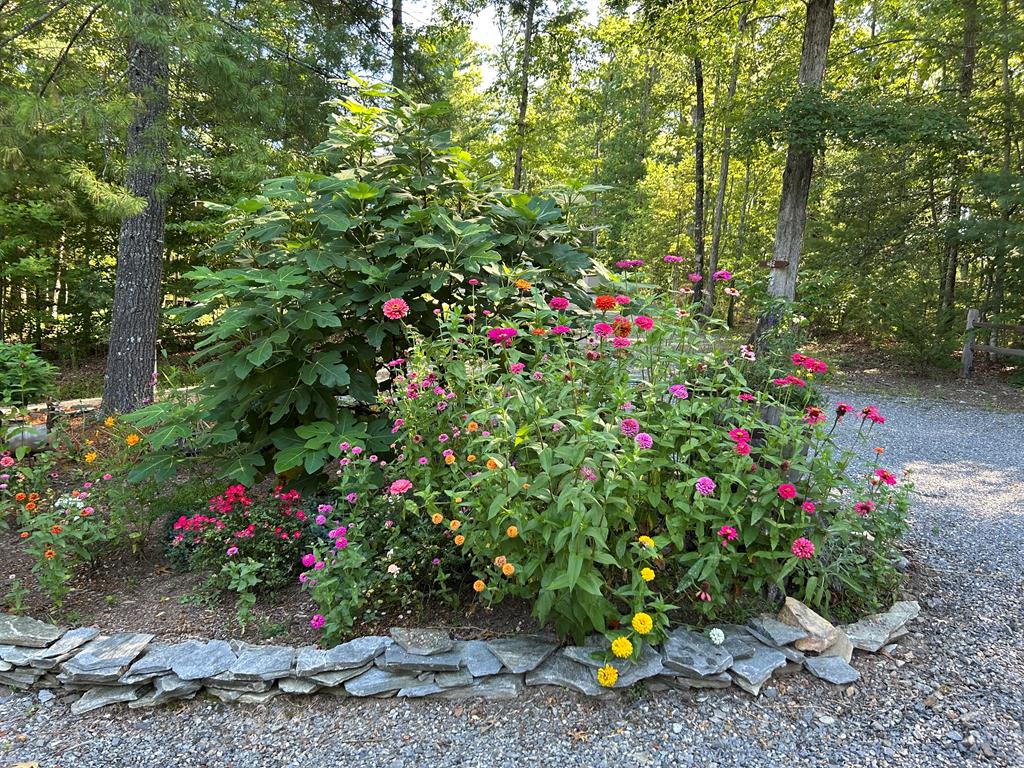 482 Tsalagi Trail Murphy, NC 28906 - Photo 42 of 44 a small yard with beautiful flowers