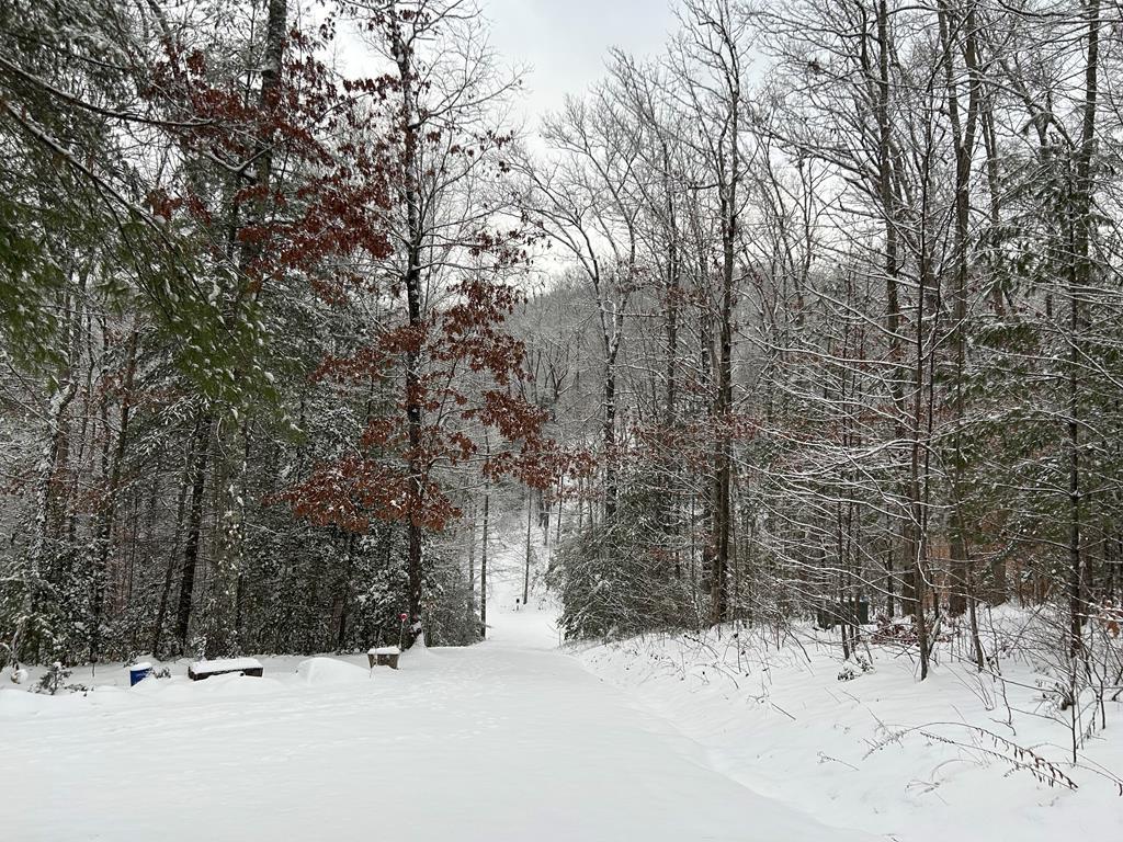 482 Tsalagi Trail Murphy, NC 28906 - Photo 43 of 44 a view of a snow covered in snow