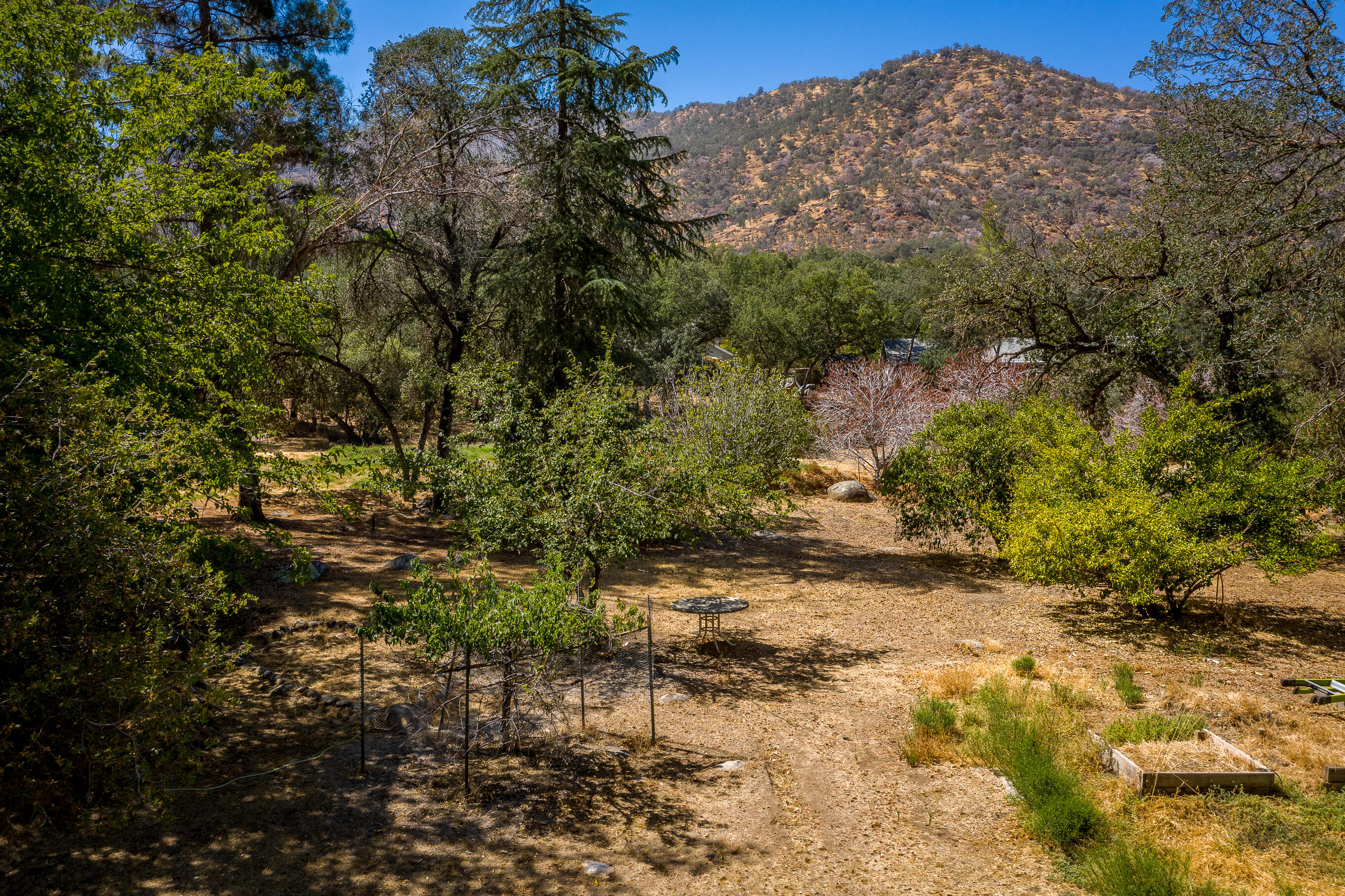 40931 Cherokee Oaks Drive Three Rivers, CA 93271 - Photo 22 of 31 DJI_0525-HDR