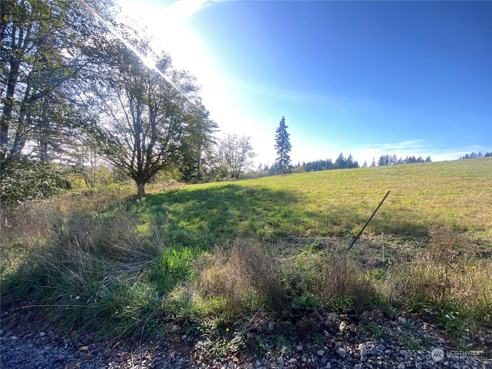 198 Oppelt Road Chehalis, WA 98532 - Photo 11 of 22 a view of a lake with a yard