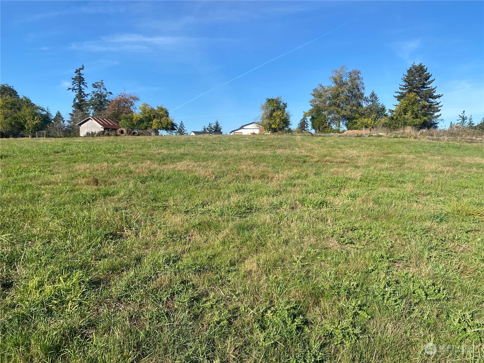 198 Oppelt Road Chehalis, WA 98532 - Photo 8 of 22 a view of a field with an ocean