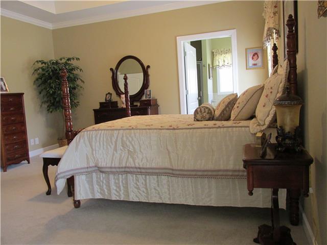 3555 Rabbit Run Trail Clarksville, TN 37043 - Photo 12 of 19 Additional Photo of the Master Suite Features Floor Length Windows, Carpet and Ceiling Fan.