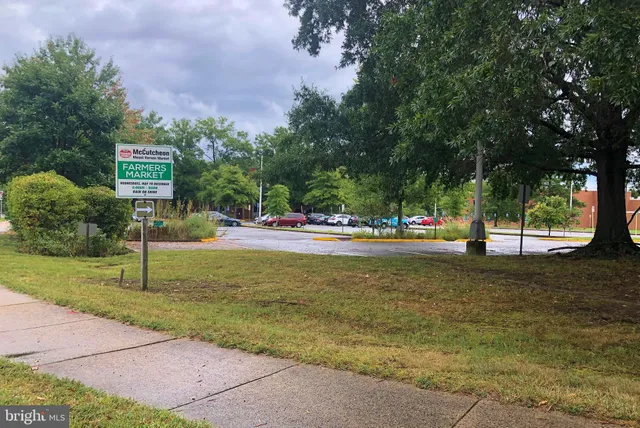 a view of street with large trees