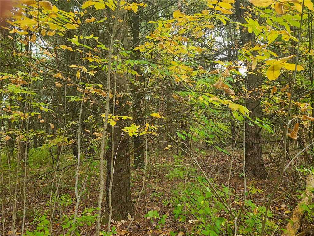 0 Talbort Hill Road Dundee, NY 14837 - Photo 1 of 1 Gallery Image 1
