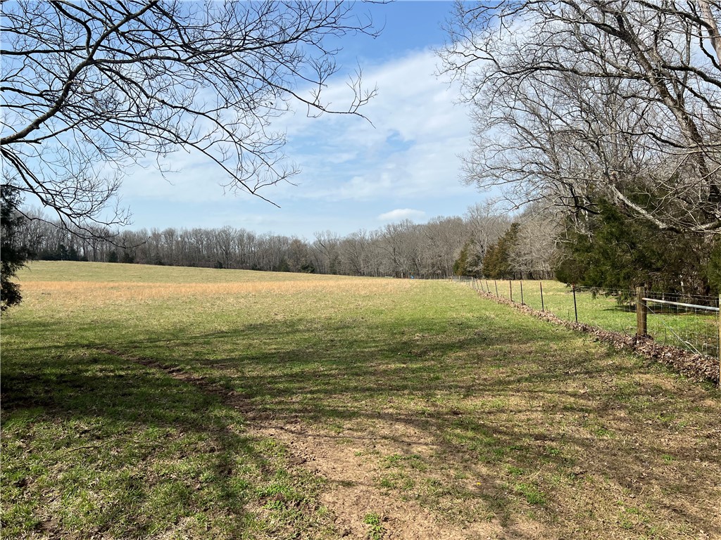 1605 Simpson Street Calhoun Falls, SC 29628 - Photo 8 of 16 Gallery Image 8