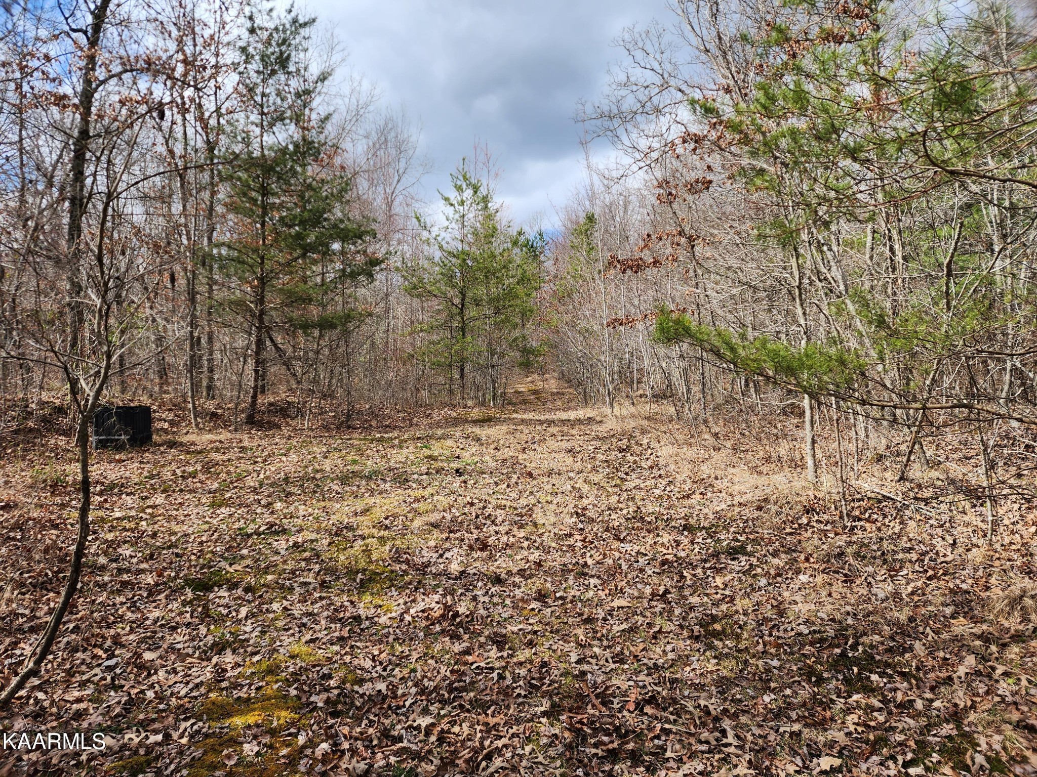 215 Hensley Road Deer Lodge, TN 37726 - Photo 14 of 29 Gallery Image 14