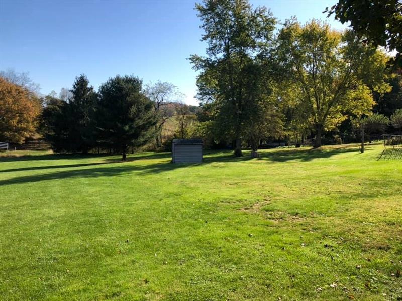 4407 Ellwood Road New Castle, PA 16101 - Photo 16 of 25 Mature trees pepper the lot...