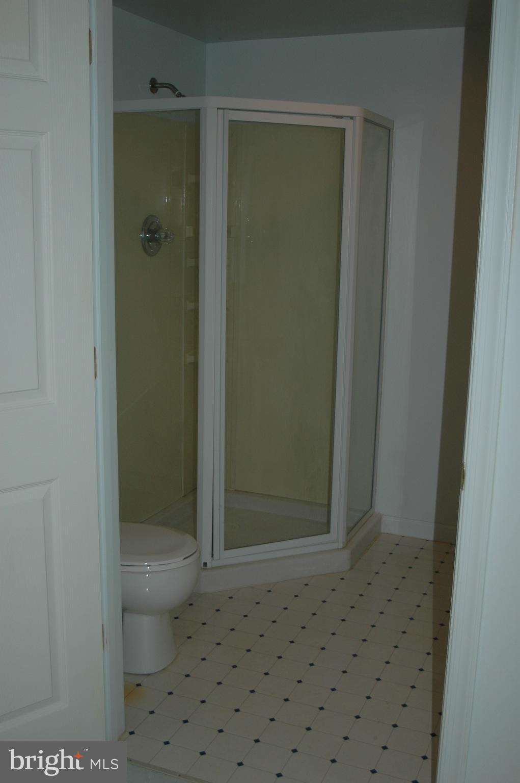 58 Middle Of Lane, Unit WAY Castleton, VA 22716 - Photo 22 of 25 4th bath/lower level