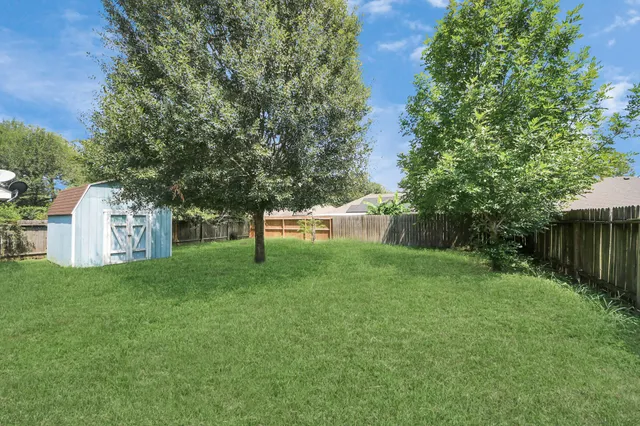 a view of a yard with a tree