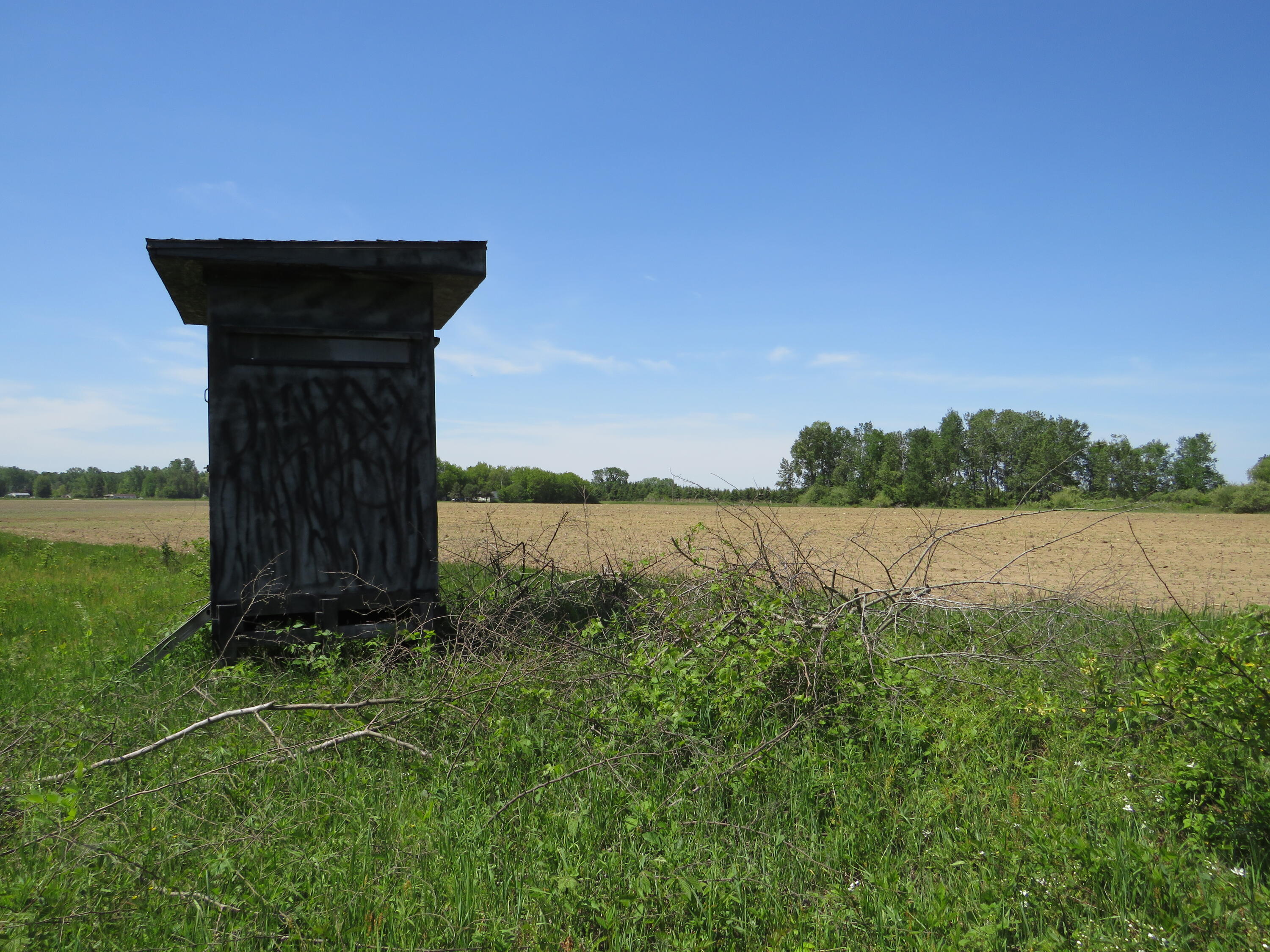 Vl South Elkton Road Owendale, MI 48754 - Photo 34 of 39 IMG_6538