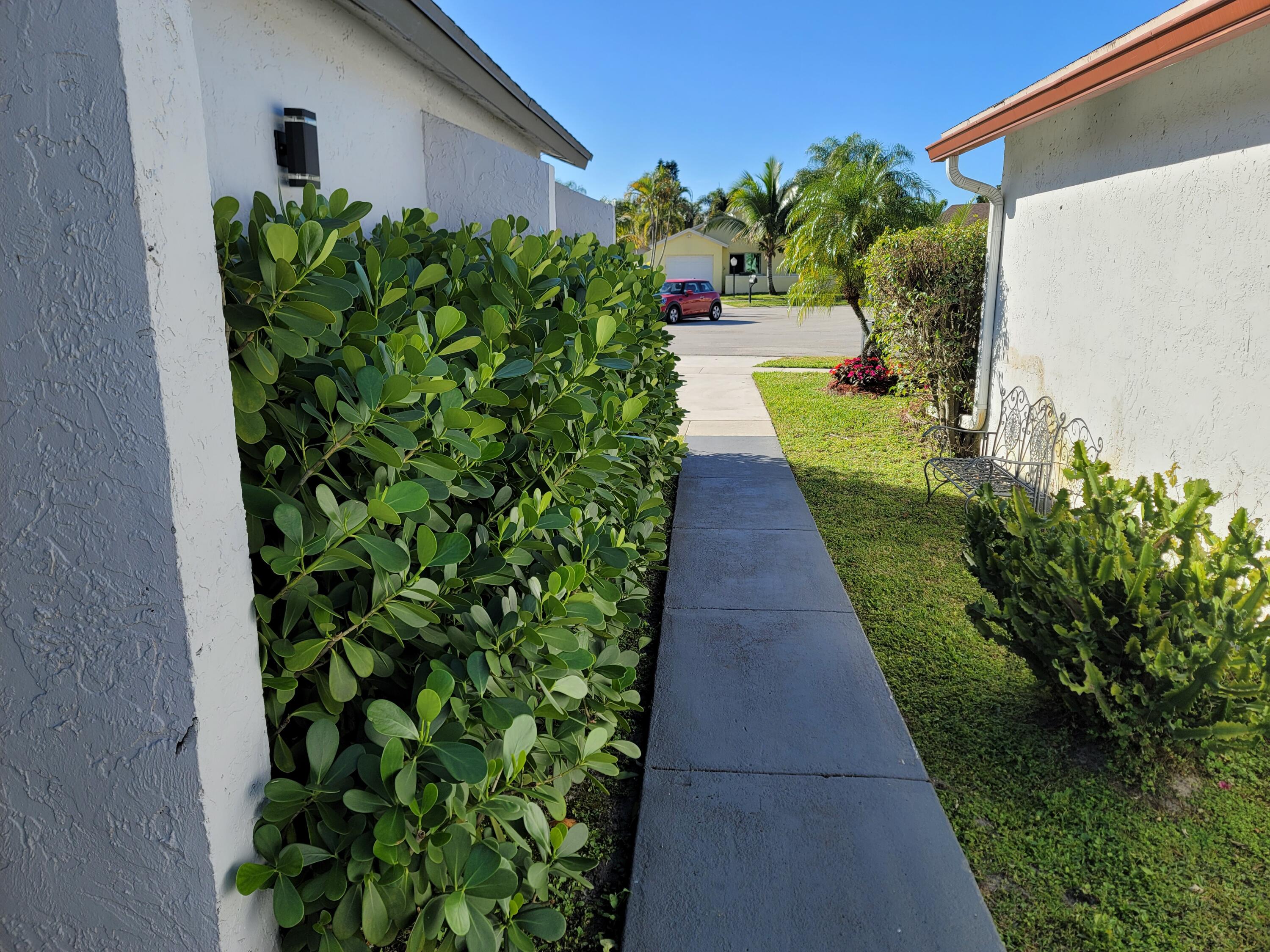 20894 Springs Terrace Boca Raton, FL 33428 - Photo 3 of 10 Walkway view to street