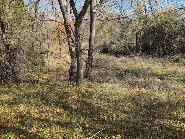 $13,109 | 111 North Oriole Street, Wichita Falls, TX 76301