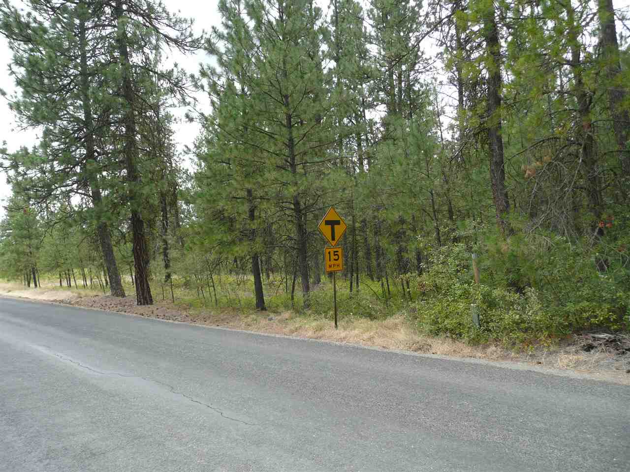4800 West Anderson Road Cheney, WA 99004 - Photo 1 of 8