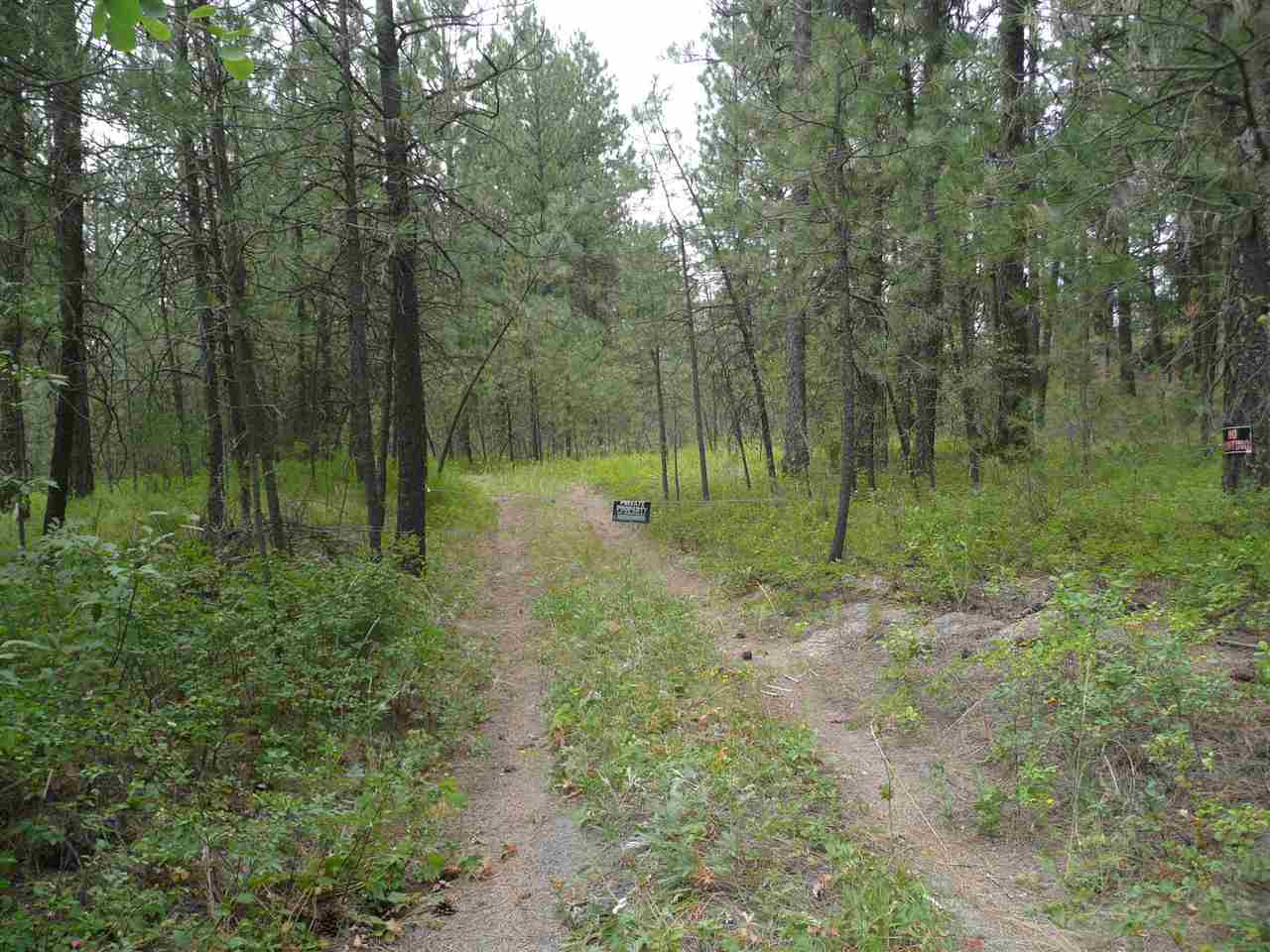4800 West Anderson Road Cheney, WA 99004 - Photo 2 of 8