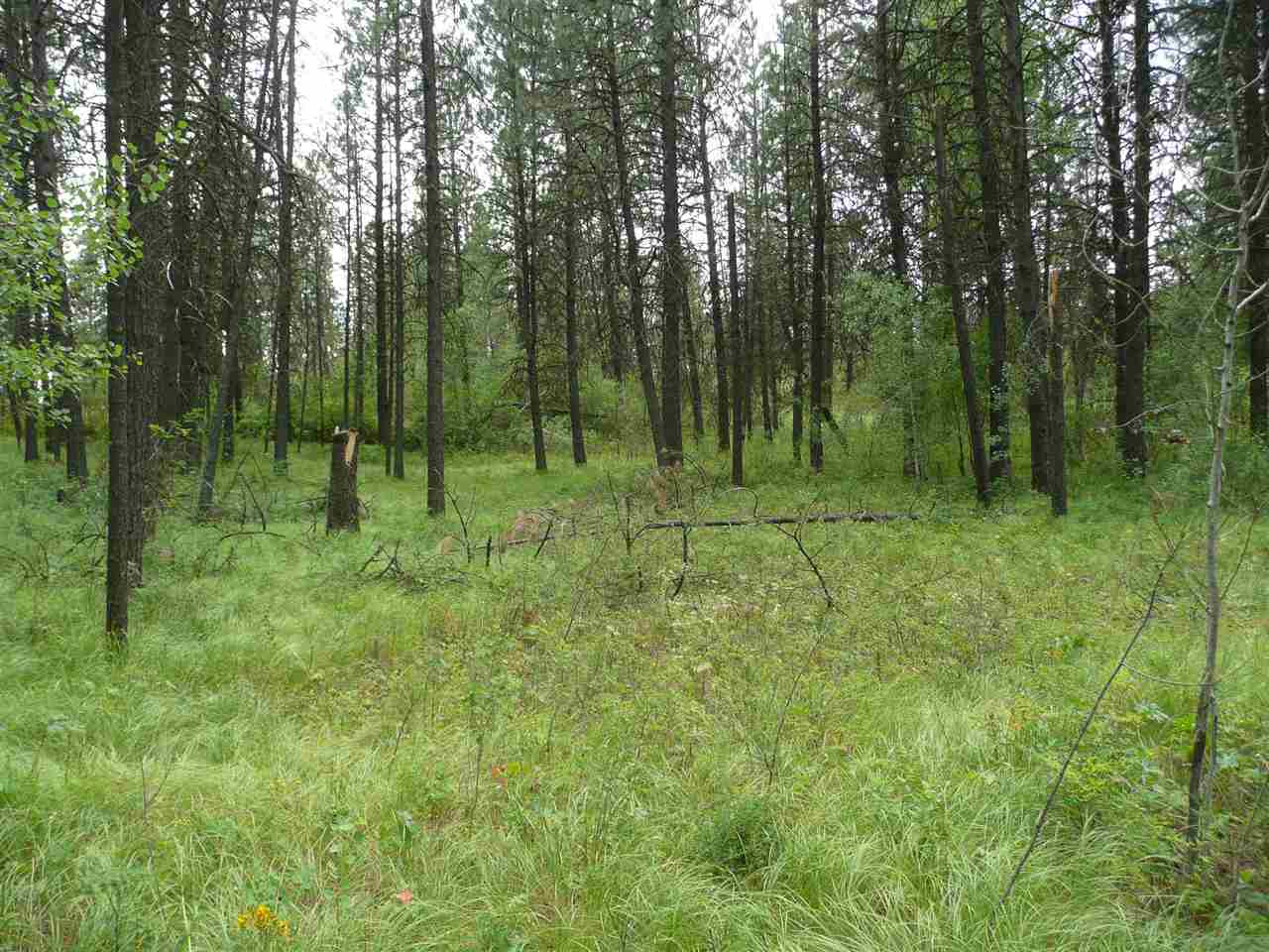 4800 West Anderson Road Cheney, WA 99004 - Photo 3 of 8