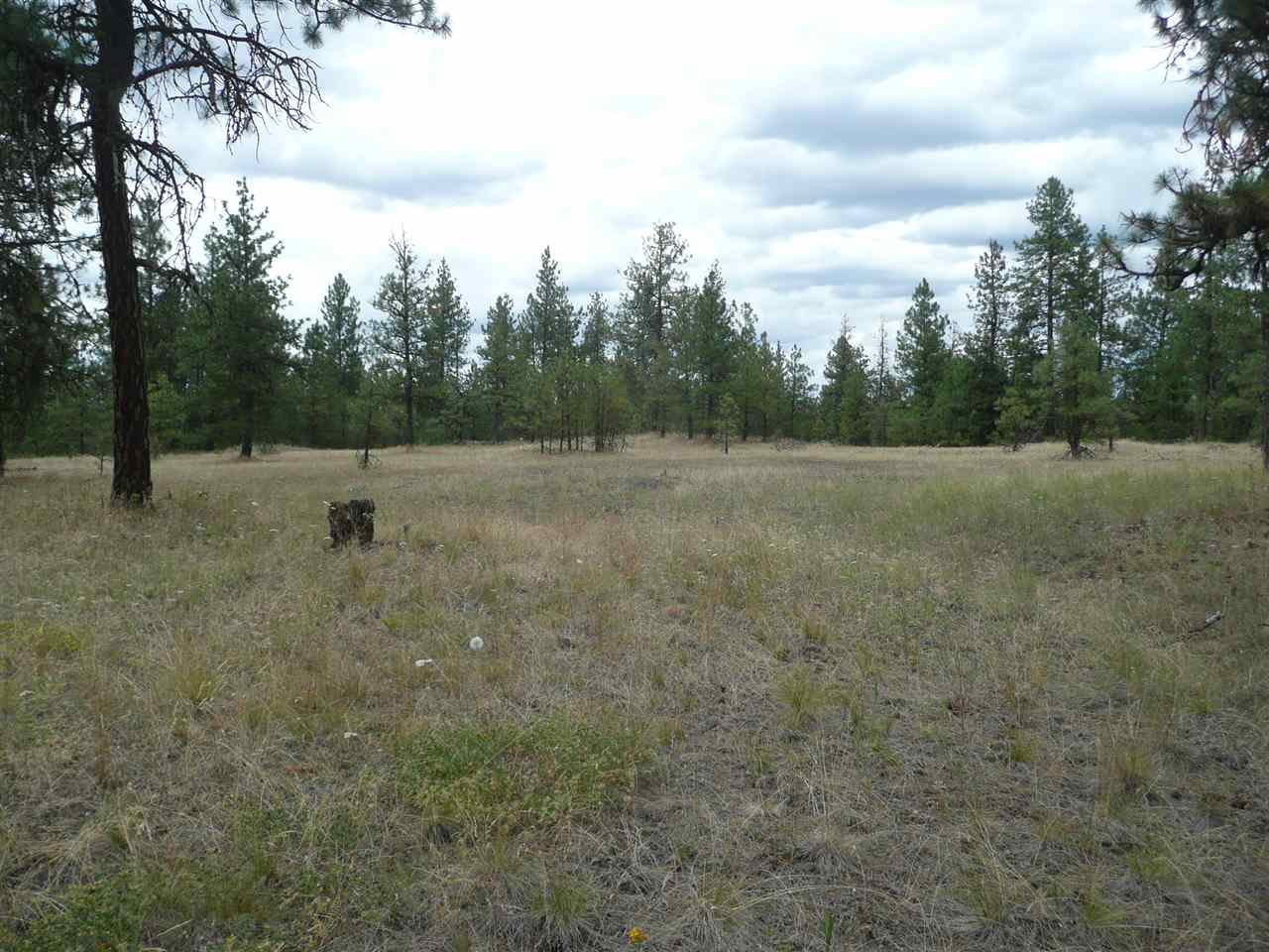 4800 West Anderson Road Cheney, WA 99004 - Photo 4 of 8