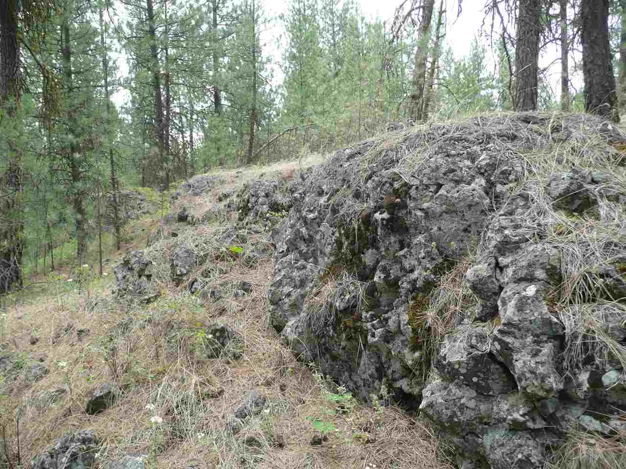 4800 West Anderson Road Cheney, WA 99004 - Photo 6 of 8