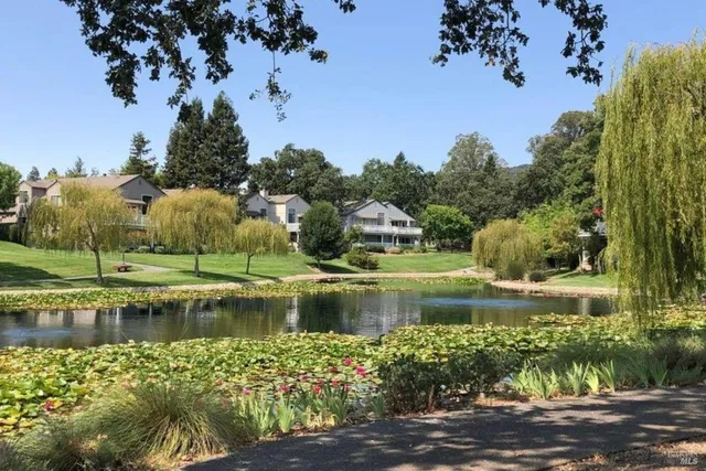 a view of a lake with houses in the background