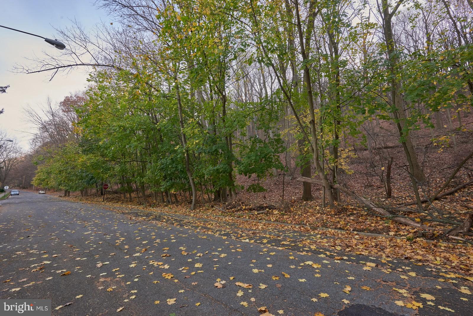 1200 Lorraine Road Reading, PA 19604 - Photo 21 of 45 Mountain/hiking trails directly across from home
