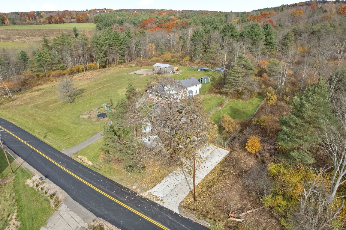 817 Tracy Creek Road Vestal, NY 13850 - Photo 2 of 42