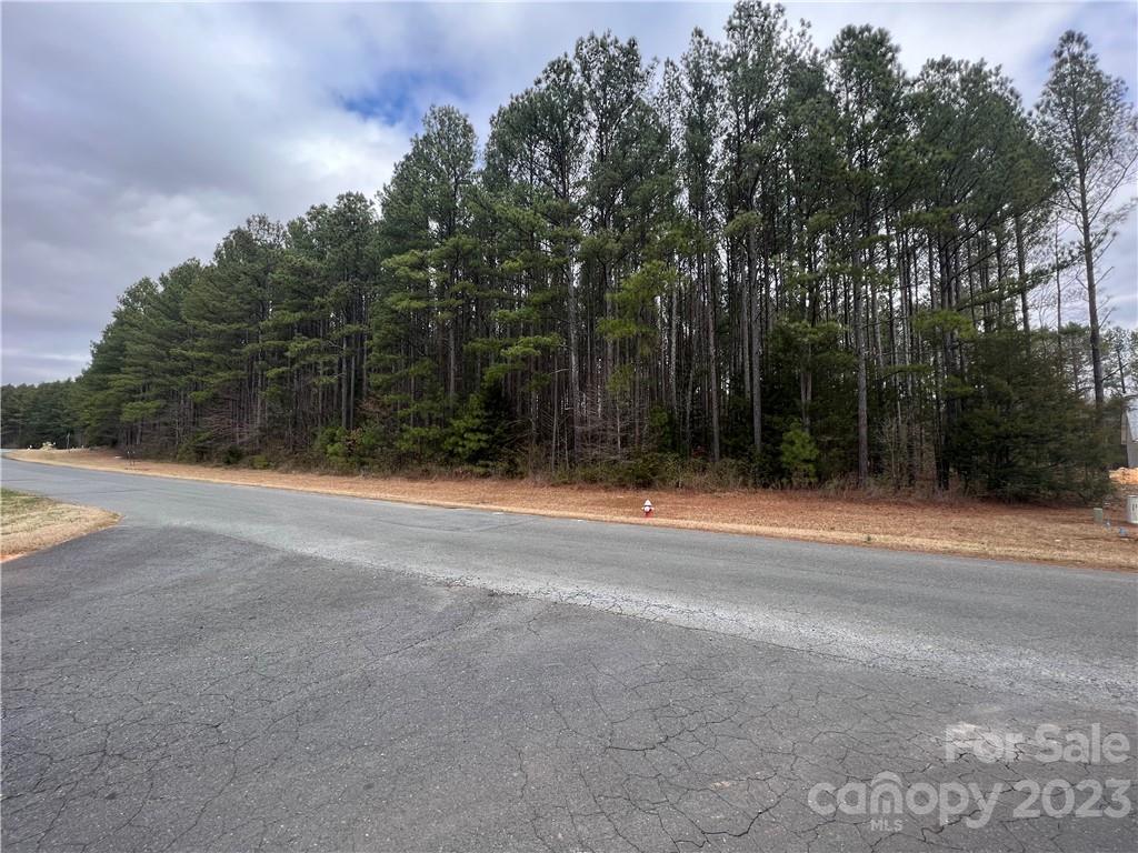 0 Garden Gate Drive Monroe, NC 28112 - Photo 7 of 11 a view of basketball court