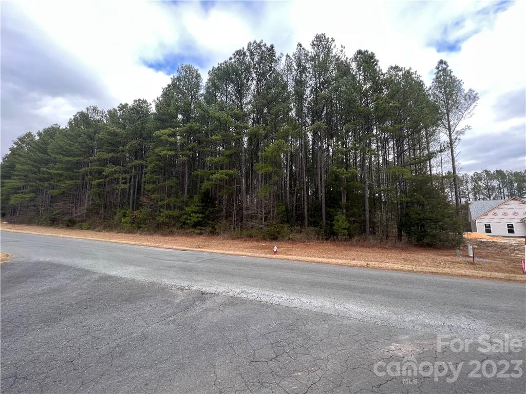 0 Garden Gate Drive Monroe, NC 28112 - Photo 8 of 11 a backyard of a house with lots of green space