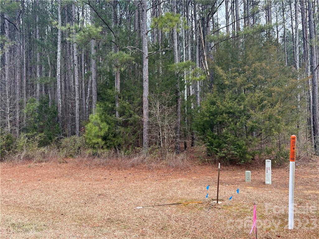 0 Garden Gate Drive Monroe, NC 28112 - Photo 10 of 11 a view of a forest filled with trees