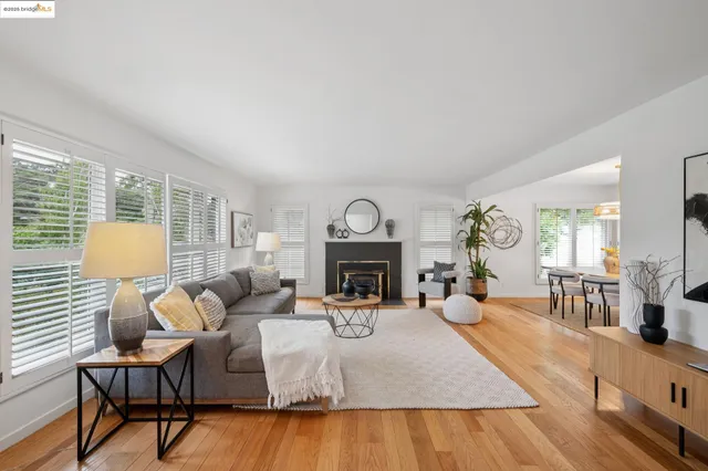 a living room with furniture a fireplace and a potted plant