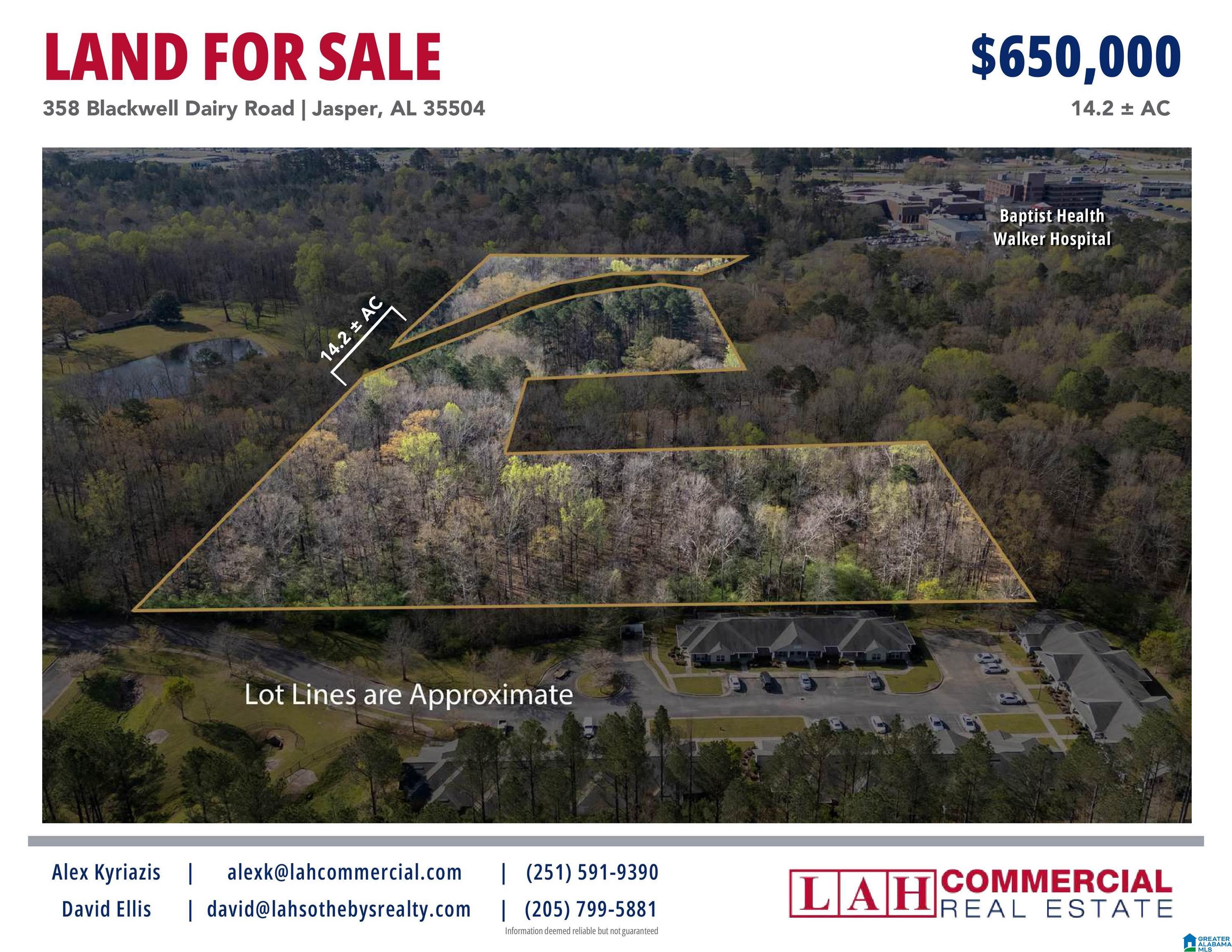 358 Blackwell Dairy Road Jasper, AL 35501 - Photo 17 of 22