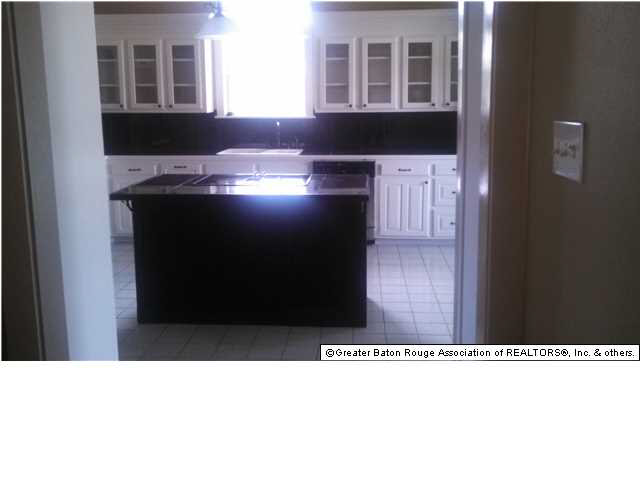 10595 Brown Road Denham Springs, LA 70726 - Photo 11 of 29