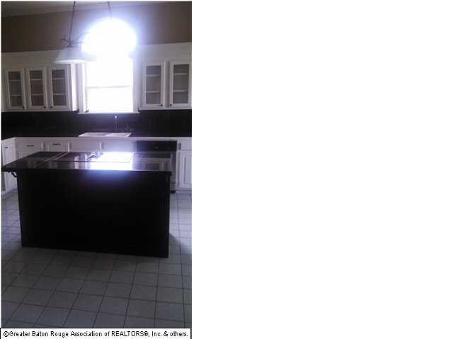 10595 Brown Road Denham Springs, LA 70726 - Photo 6 of 29