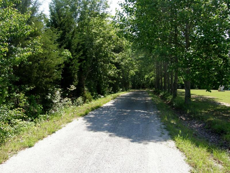 131 Bowen Road Hohenwald, TN 38462 - Photo 1 of 9 131 BOWEN RD., LEWIS COUNTY, TN.