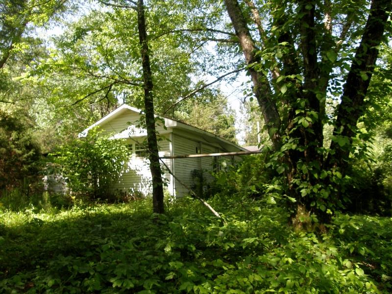 131 Bowen Road Hohenwald, TN 38462 - Photo 4 of 9 ELECTRICITY, OLD WELL AND OLD SEPTIC SYSTEM ON PROPERTY.