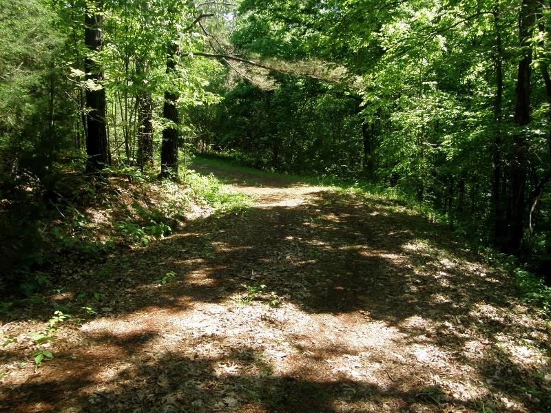 131 Bowen Road Hohenwald, TN 38462 - Photo 6 of 9 GRAVEL DRIVE TO PROPERTY.