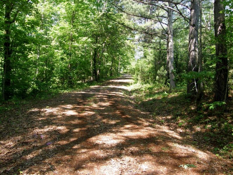 131 Bowen Road Hohenwald, TN 38462 - Photo 7 of 9 BACK TO NATURE.....BEAUTIFUL AND PRIVATE!