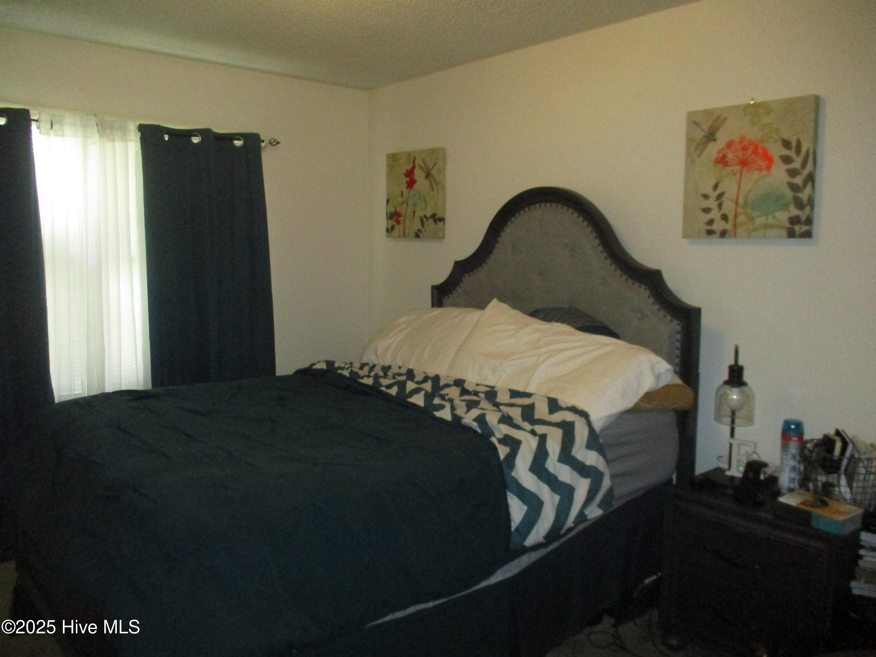 9260 McLeod Road Laurinburg, NC 28352 - Photo 11 of 16 Master Bedroom