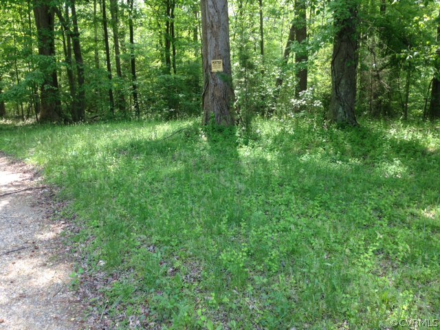 3715 Ropers Church Road Lanexa, VA 23089 - Photo 20 of 24 Gallery Image 20