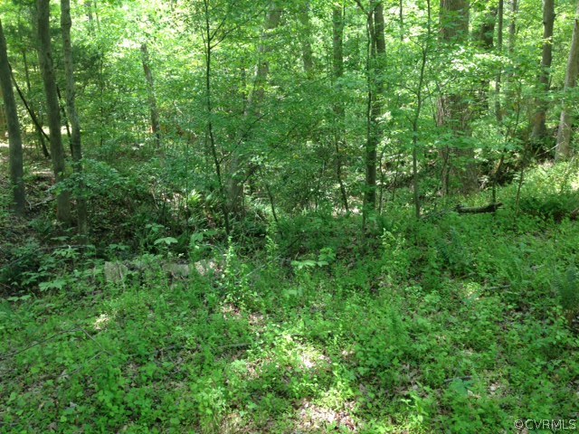 3715 Ropers Church Road Lanexa, VA 23089 - Photo 21 of 24 Gallery Image 21