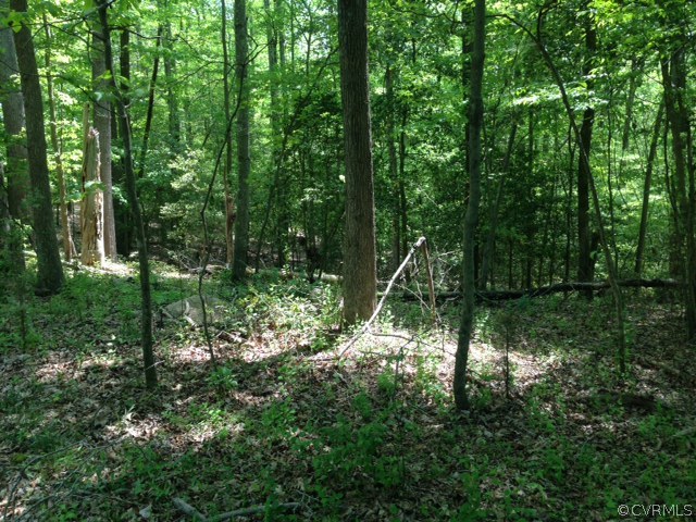 3715 Ropers Church Road Lanexa, VA 23089 - Photo 23 of 24 Gallery Image 23