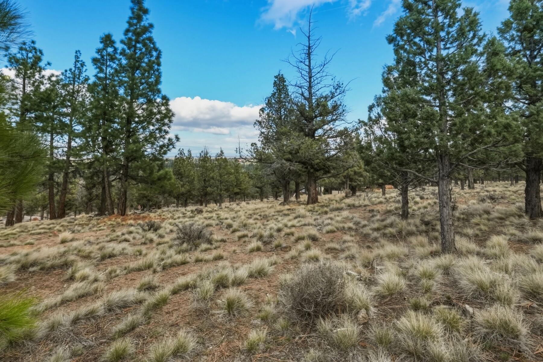 1560 Northwest Wild Rye Circle Bend, OR 97703 - Photo 12 of 18 batch_12 - 11 - 28-web-or-mls-Riley_Visu