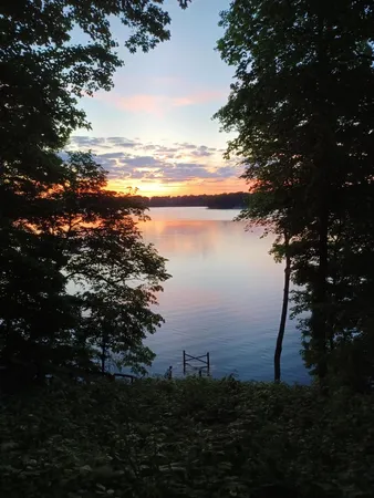 $565,000 | 62360 Cond Drive, Jones, MI 49061