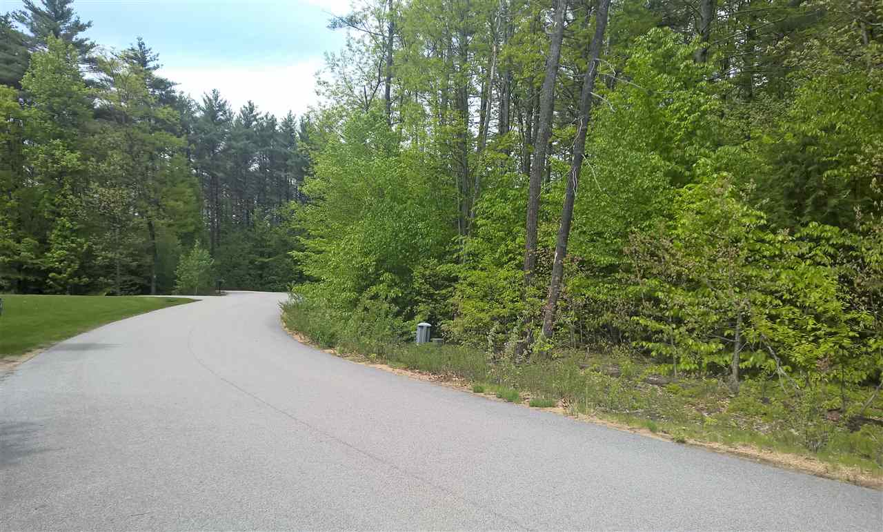 Lot 12 Bellarose Road New Hampton, NH 03256 - Photo 1 of 7