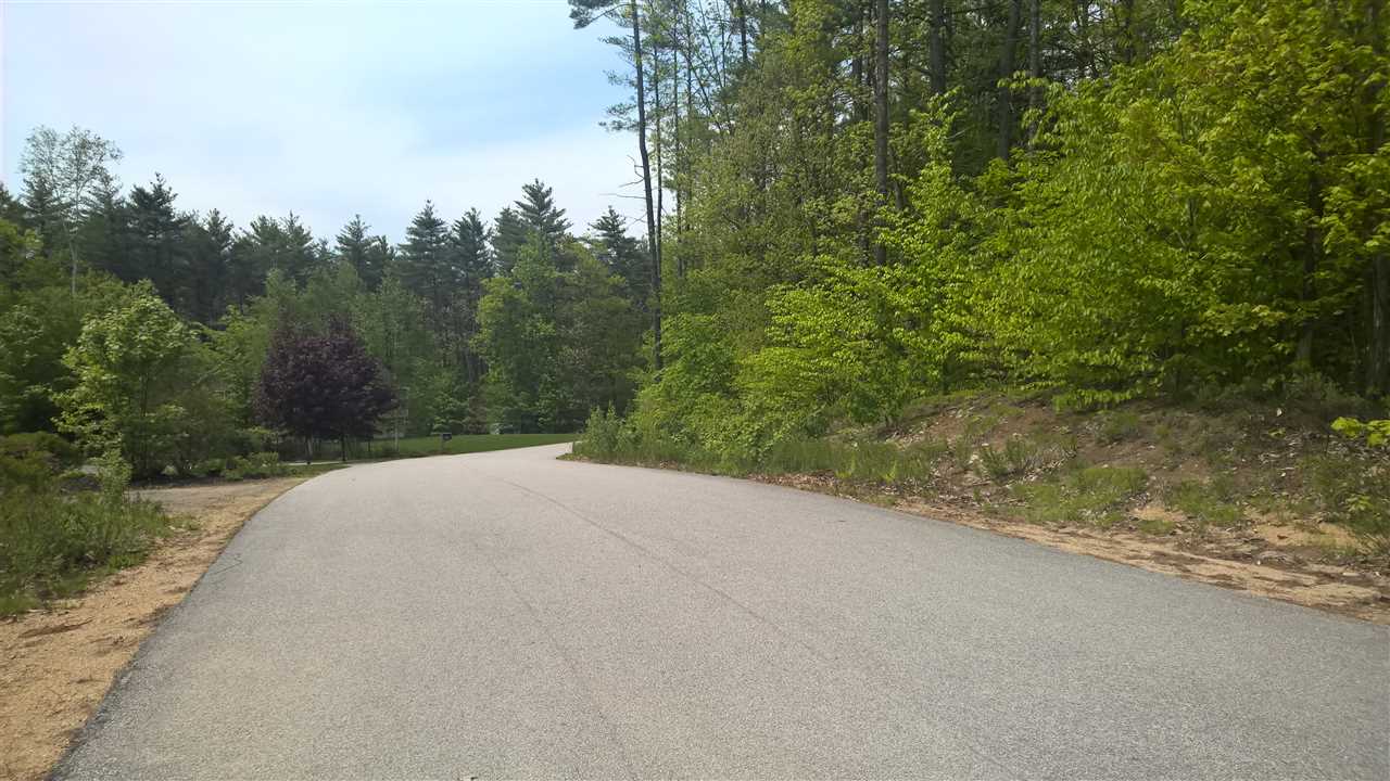 Lot 12 Bellarose Road New Hampton, NH 03256 - Photo 2 of 7