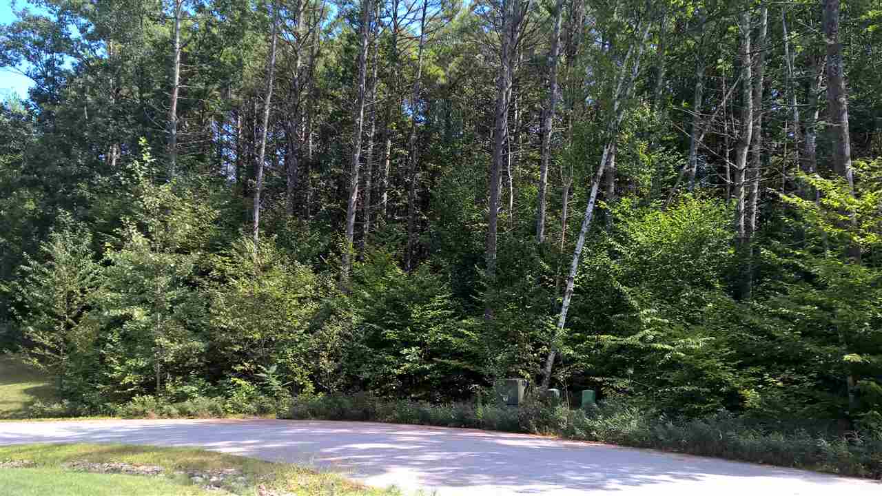 Lot 12 Bellarose Road New Hampton, NH 03256 - Photo 5 of 7