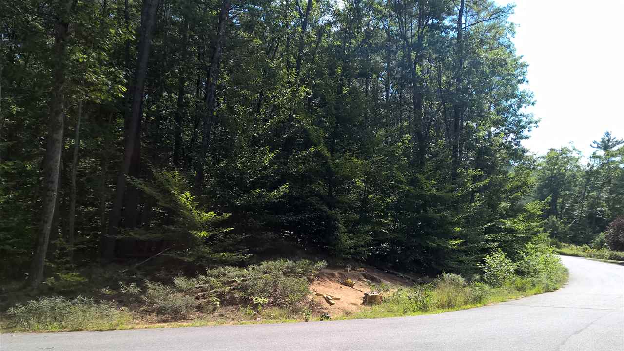 Lot 12 Bellarose Road New Hampton, NH 03256 - Photo 6 of 7